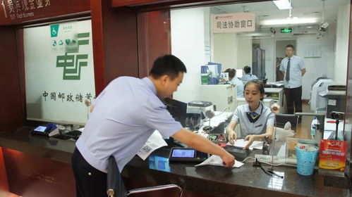 绥棱法院多措并举全力支持服务保障经济社会发展