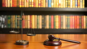 论国家治理视野下的公共财政理论与制度——法制盛邦刘志强教授观点述评