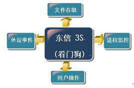东信金融 社会经济咨询服务的战略价值与实践路径