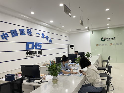 跨越发展，保险为经济社会筑牢保障网