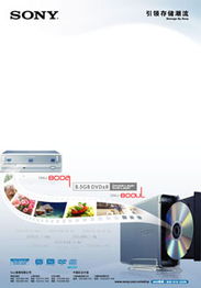 品牌设计与企业咨询服务 构建国际化品牌形象的关键